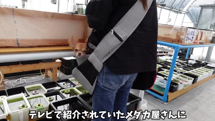 お座りもできるよ！