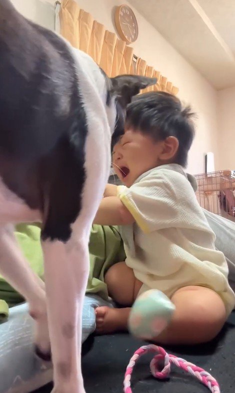 赤ちゃんが泣いた時のごろちゃん4