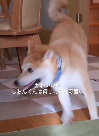 思わずほっこり♡
