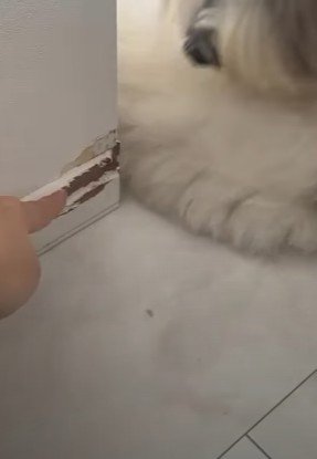 壁を壊したのは…