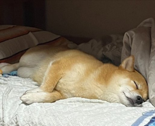 可愛すぎる