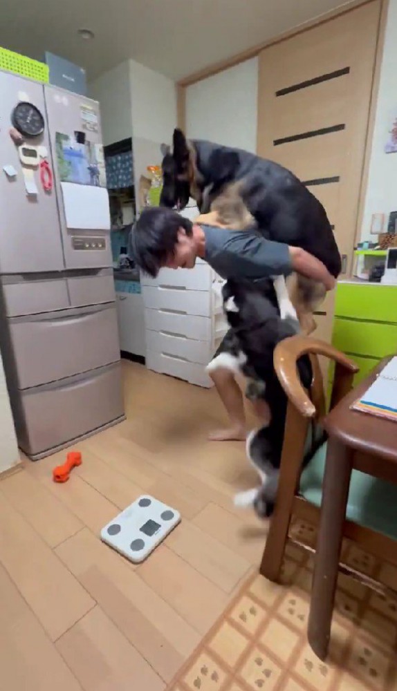 妹のシェリーニちゃんが…