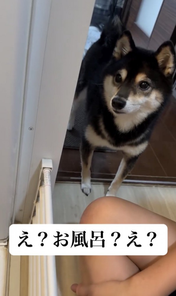 聞きたくなかった…！