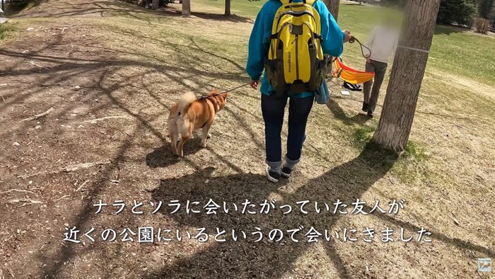 ご友人に会うために公園へ
