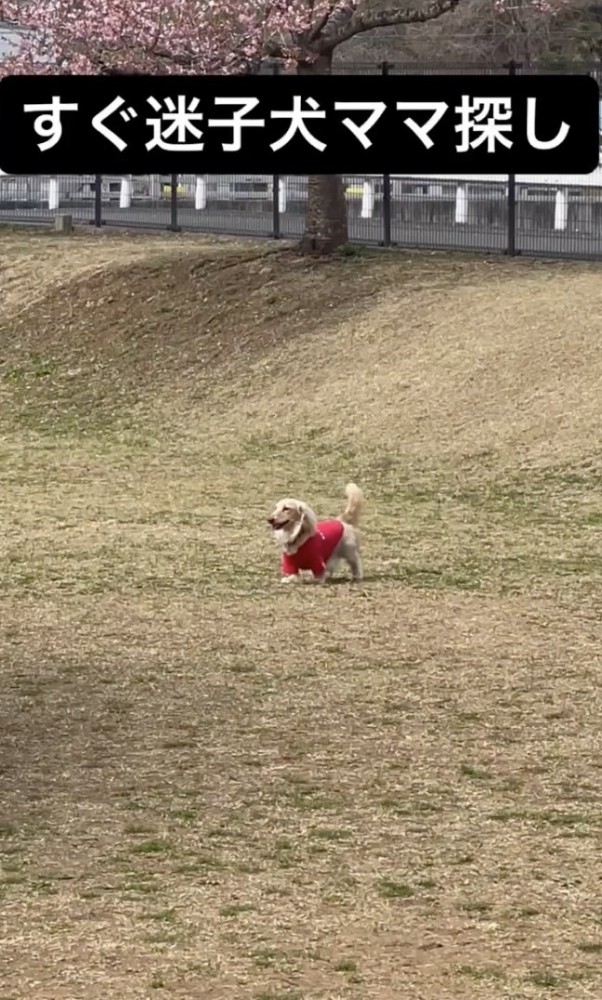 ピタッ