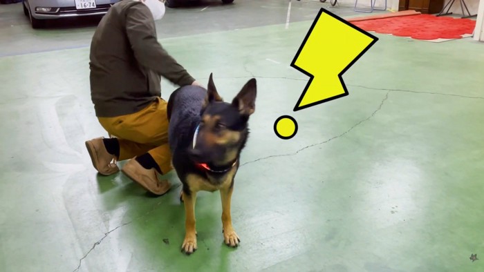 おしりをポンポンしたら…