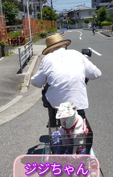 おじいちゃんと自転車に乗るすずちゃん3