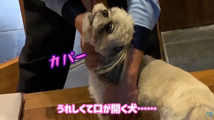 たっぷりナデナデしてくれました♡