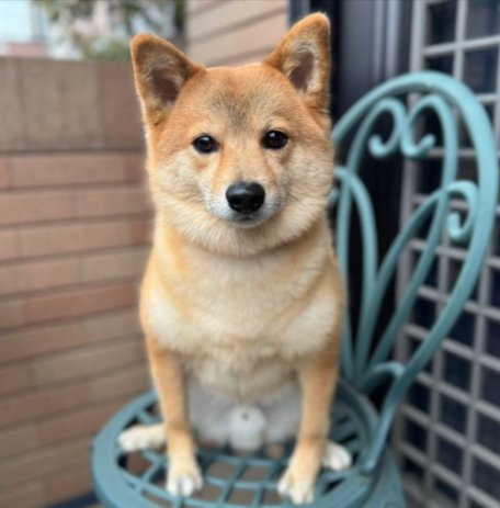 立派に成長