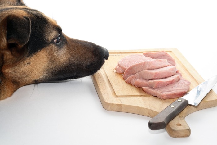 まな板の上に置かれた豚肉の切り身を気にする犬