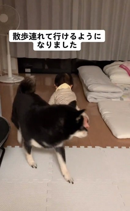 リコちゃんをかわしたミヤビちゃん