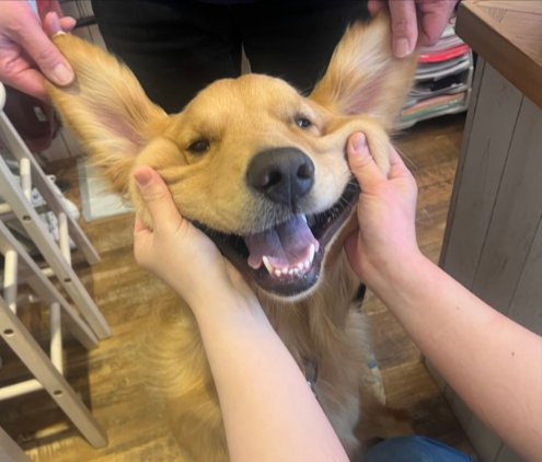 フレンドリー♡