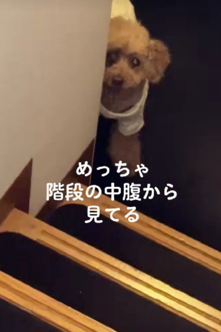 家族のことが大好き