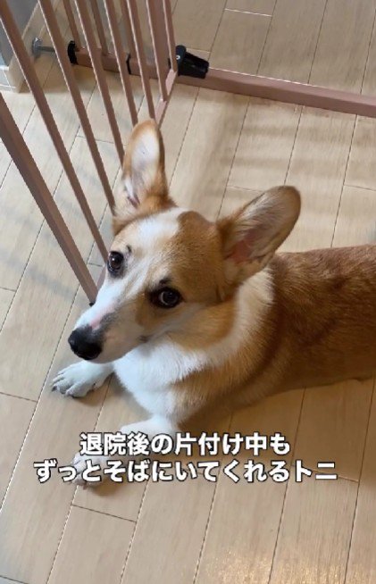 ずっと寄り添ってくれた