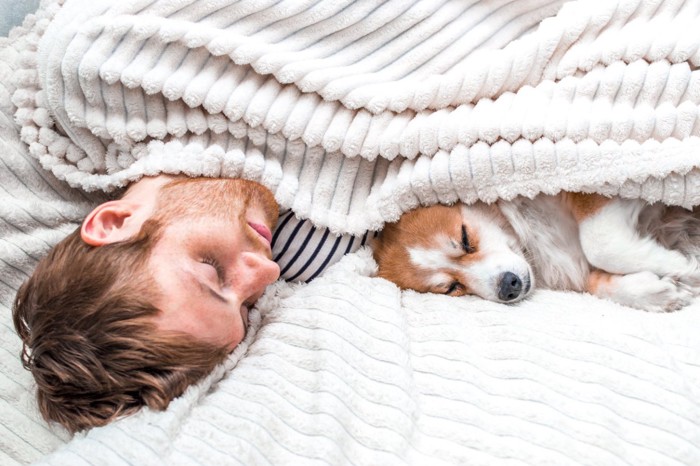 一緒に眠る男性と犬