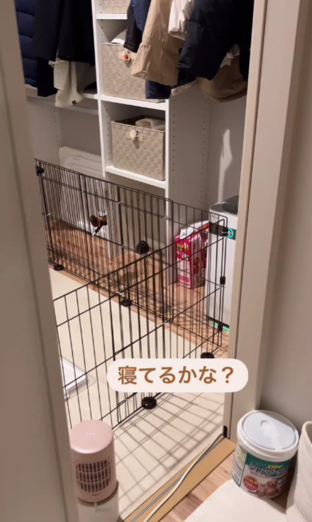 お部屋にコッソリ行ってみたら…