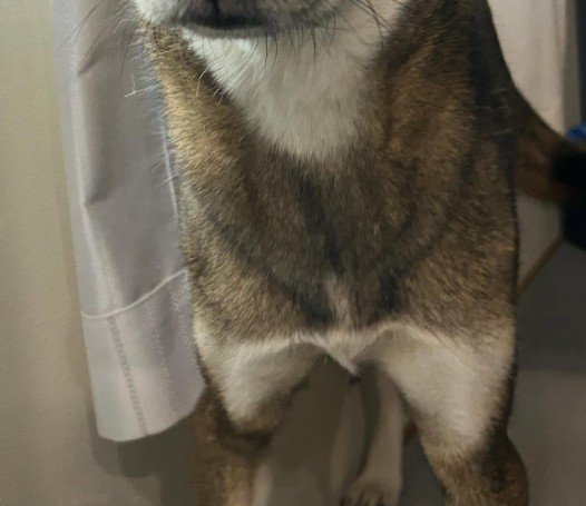 大きなオナラをしてしまった