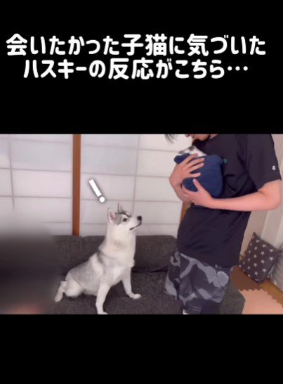 「！！」