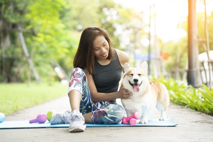 飼い主と運動するコーギー