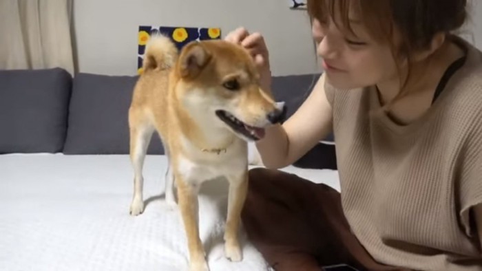 ワンちゃんと飼い主さん