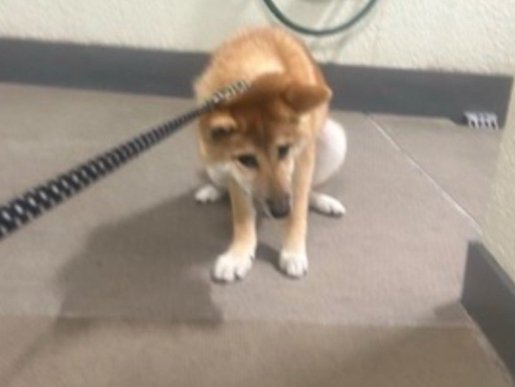 階段は…