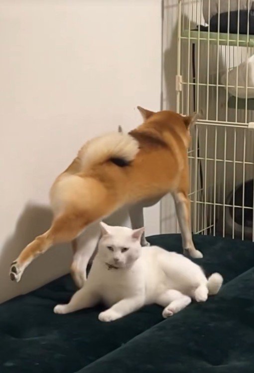 立ち上がってストレッチ