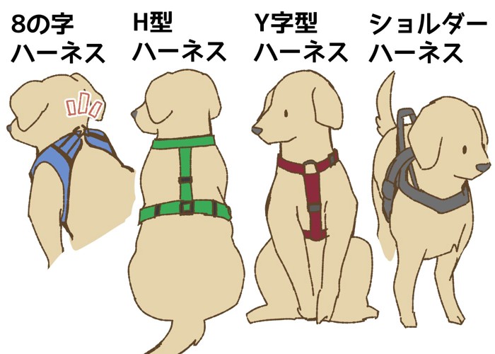 大型犬用ハーネスを選ぶポイント