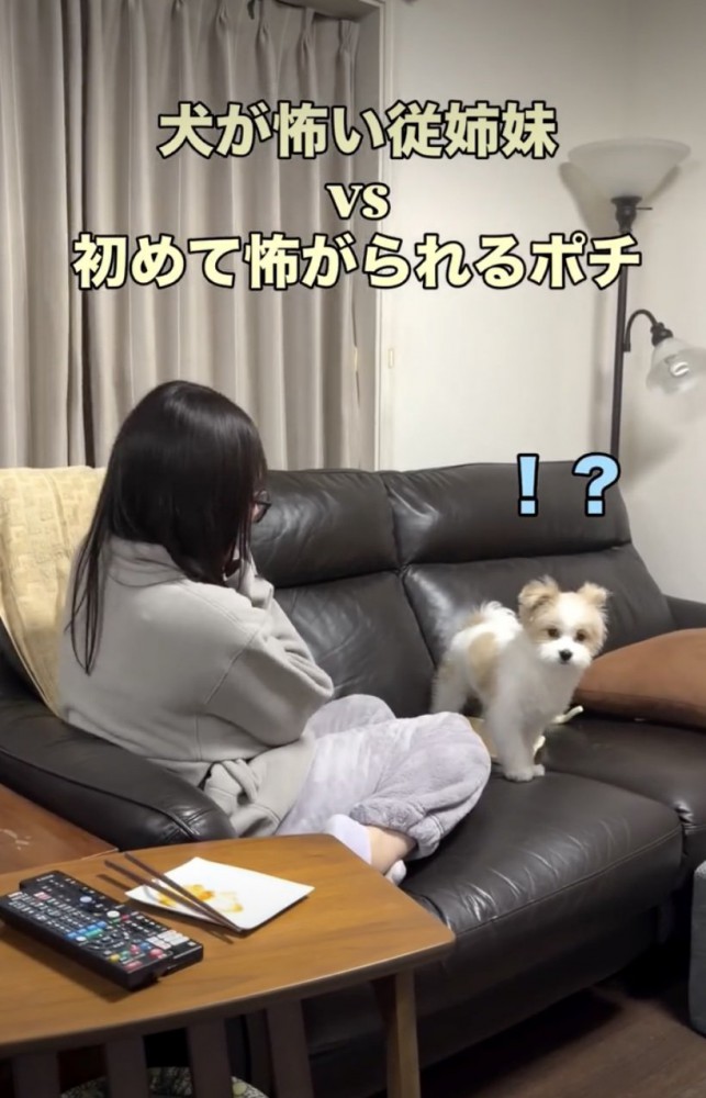 「全然分かんない！」