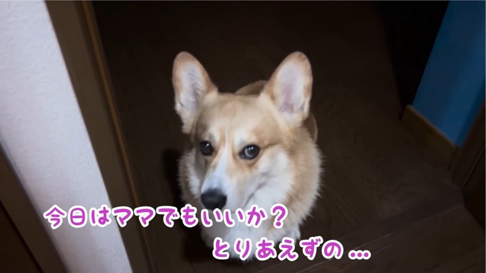「お姉ちゃんと寝たいのに…」