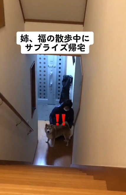 お姉ちゃんに気づいた福くん