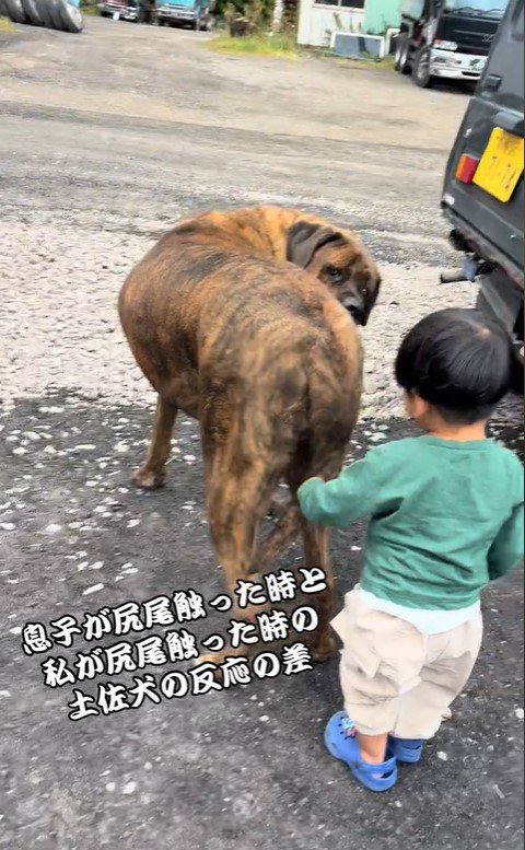 赤ちゃんに優しいトルクくん