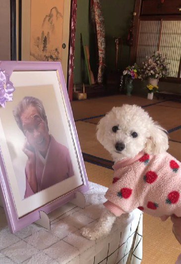 思い出はずっと一緒