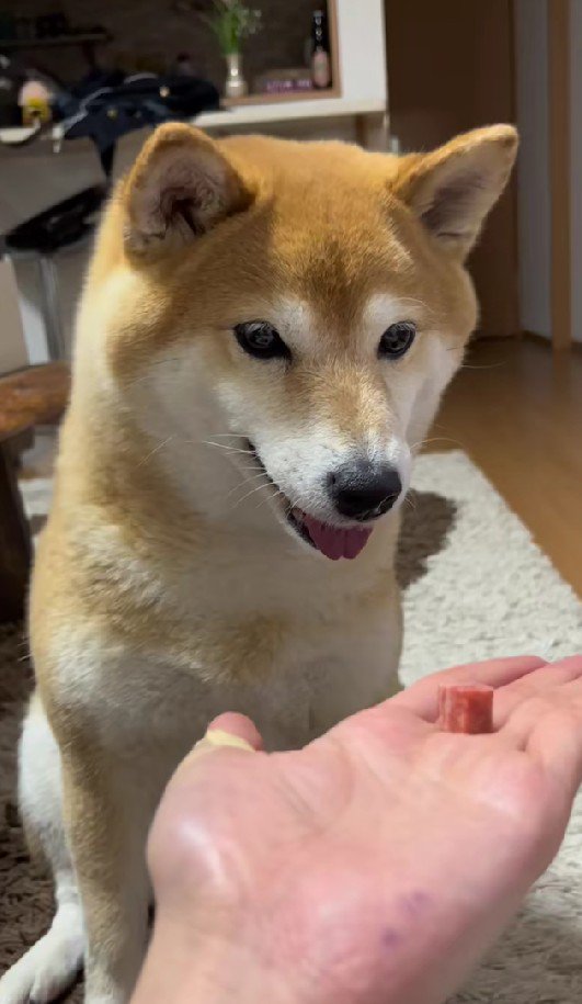 待ちに待ったおやつ！！