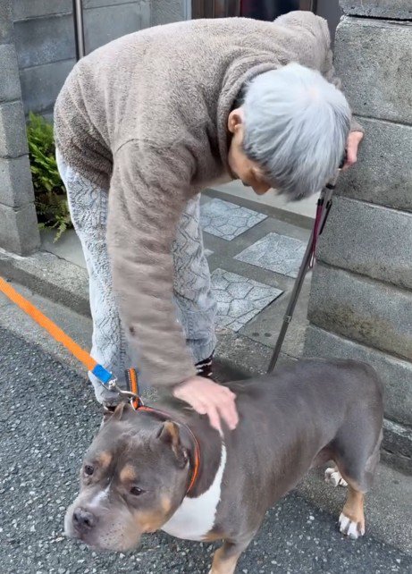 アメリカンブリーの小太郎ちゃん