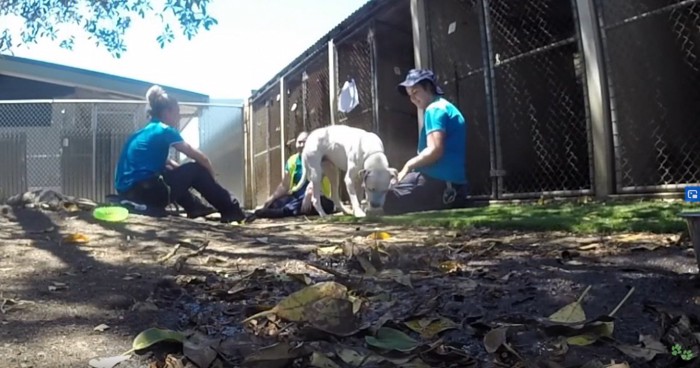 犬舎の近くに3人の女性と犬