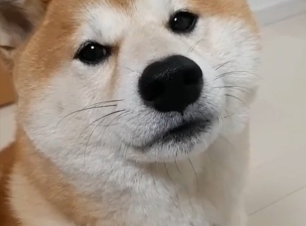 ふくふく