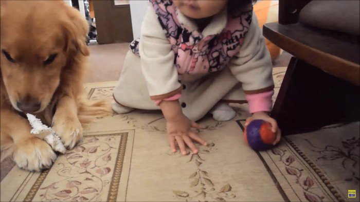 ガムを食べる犬と子ども