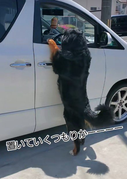 「置いて行かないで！！」
