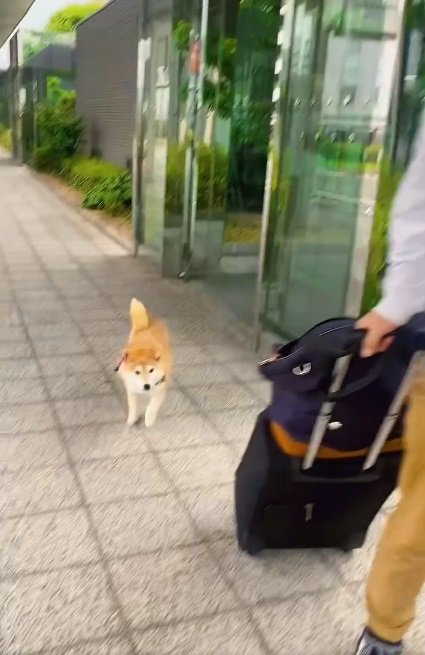 帰るこさめちゃん