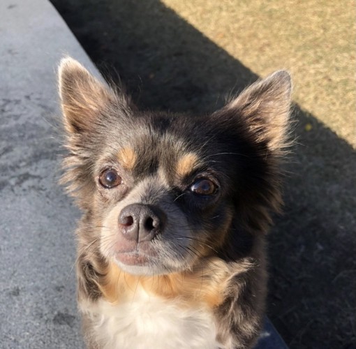 いつも側で寄り添ってくれた