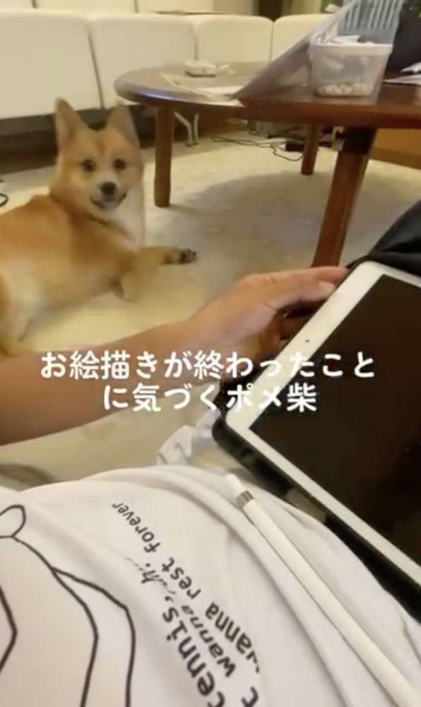 ムクッ