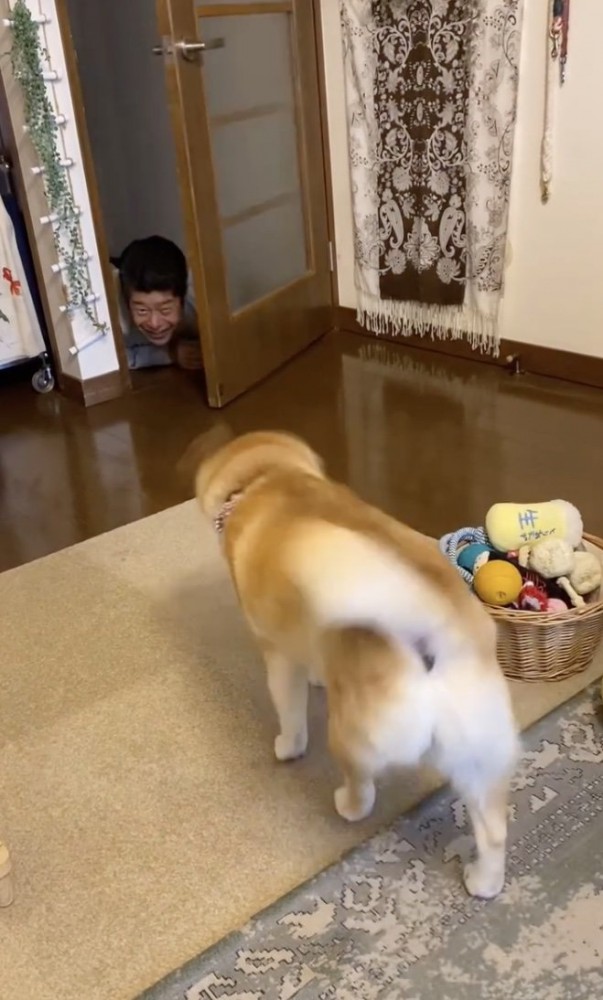 ザッ！！