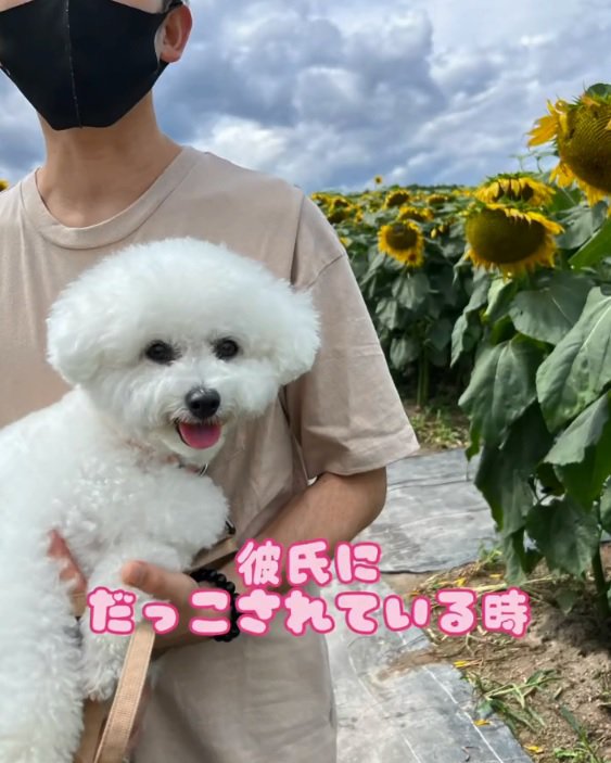 彼氏に抱っこされるもこちゃん