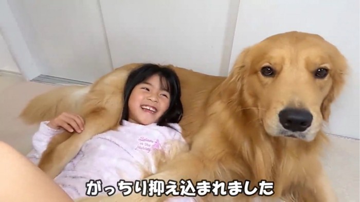 足で抑える犬