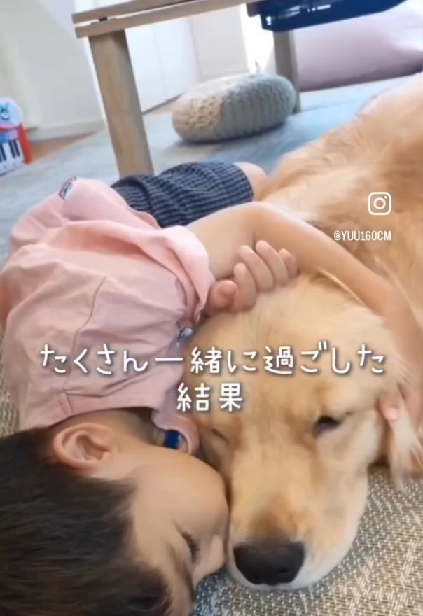 エルくんにくっつくていちゃん