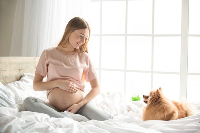 お腹を触る妊婦さんと寄り添う犬