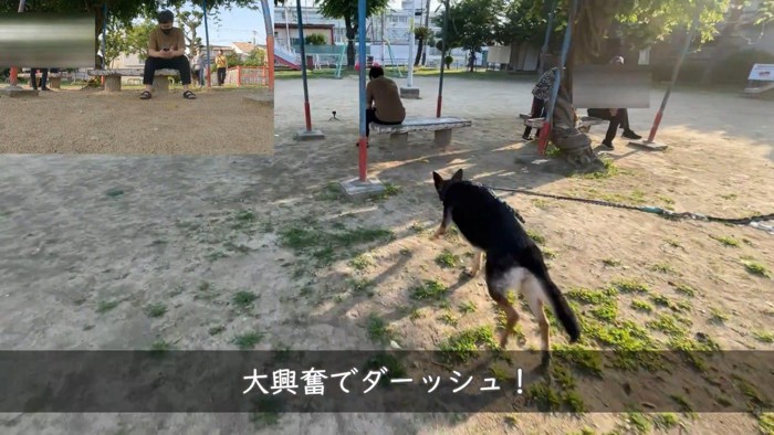 パパさんのもとへダッシュ!