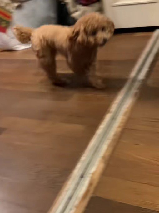 家の中が一気に明るくなったそう