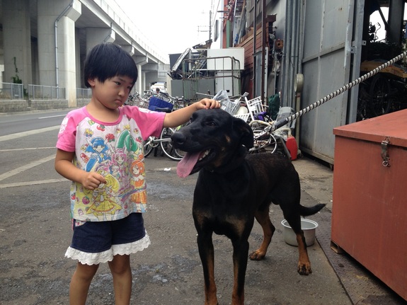 犬と子供