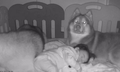 「ほら！ちゃんと寝たでしょ！！」